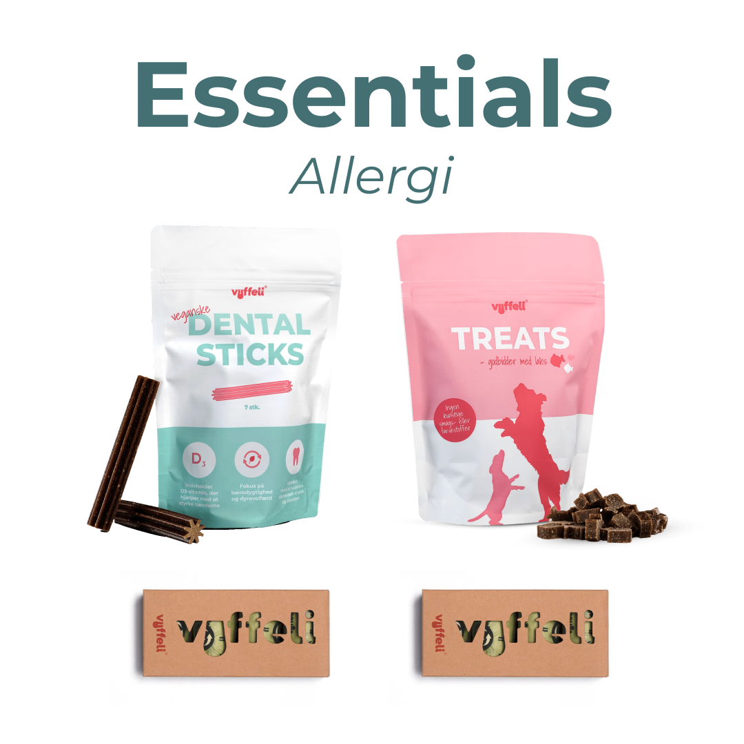 Essentials - Allergi
