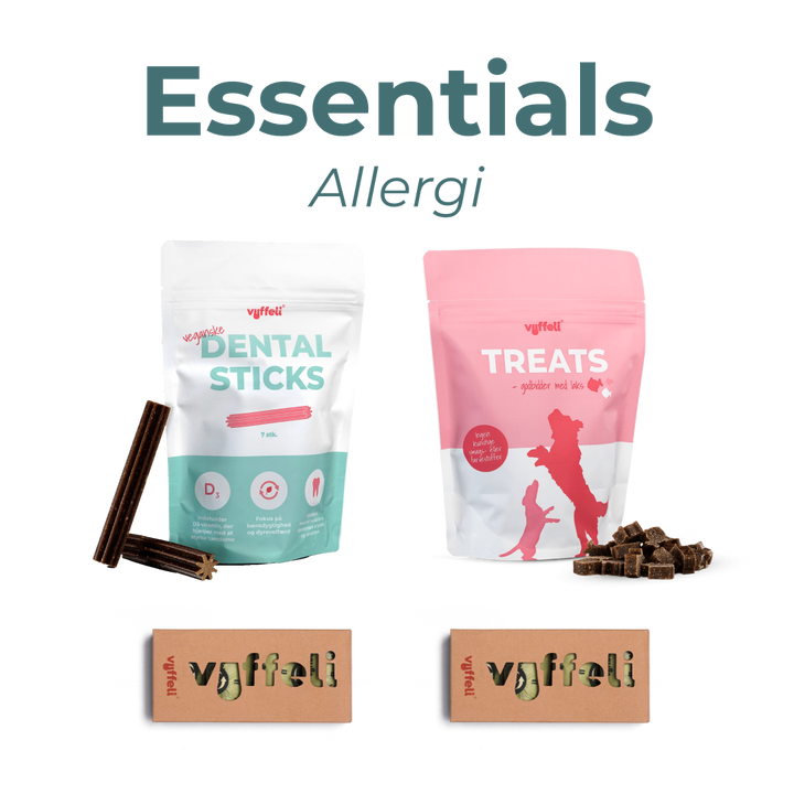 Essentials - Allergi