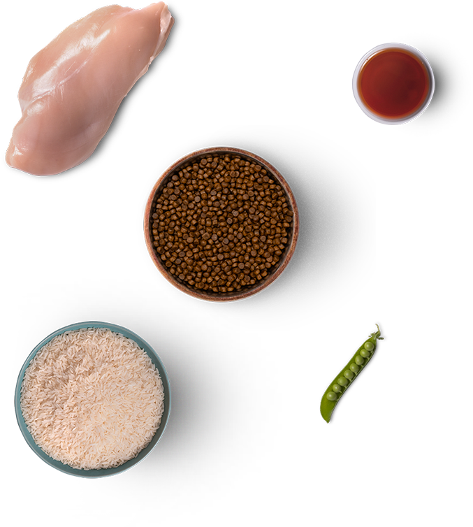 MUMS: Tørfoder med kylling og ris / hvalp og mor (5 kg)