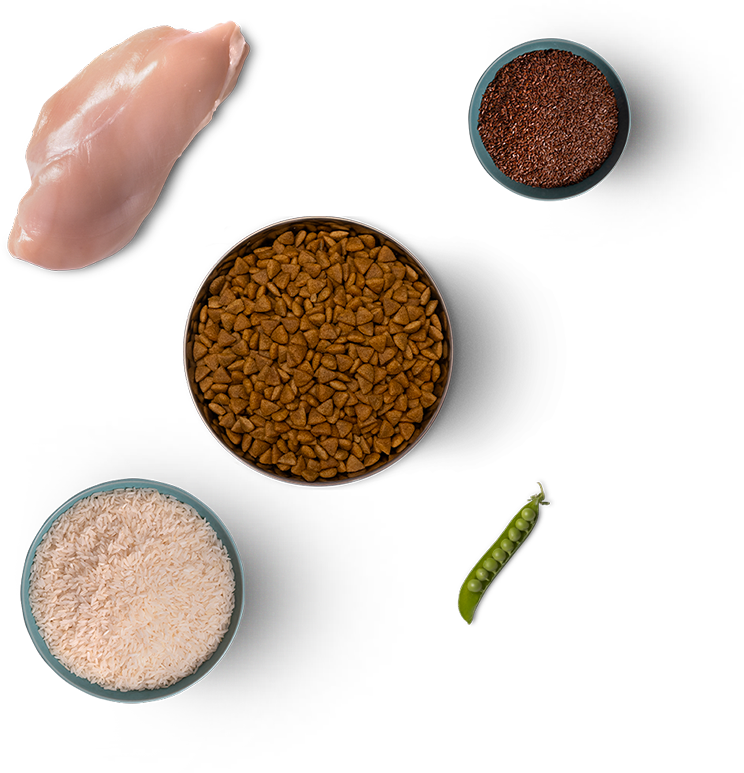 NAMNAM - Kaloriereduceret tørfoder med kylling og ris (5 kg)