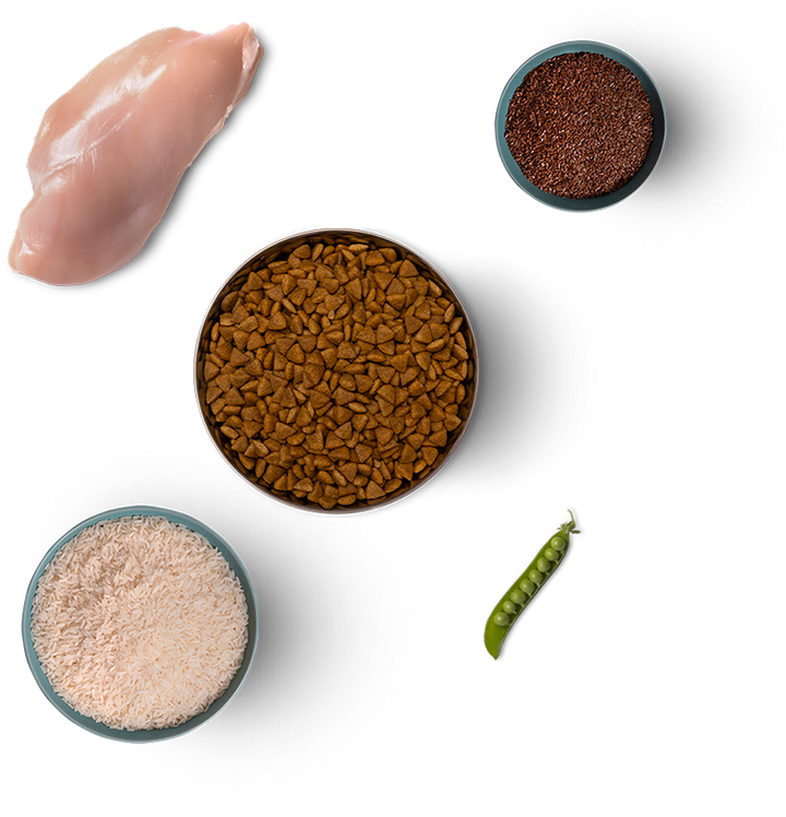NAMNAM - Kaloriereduceret tørfoder med kylling og ris (5 kg)