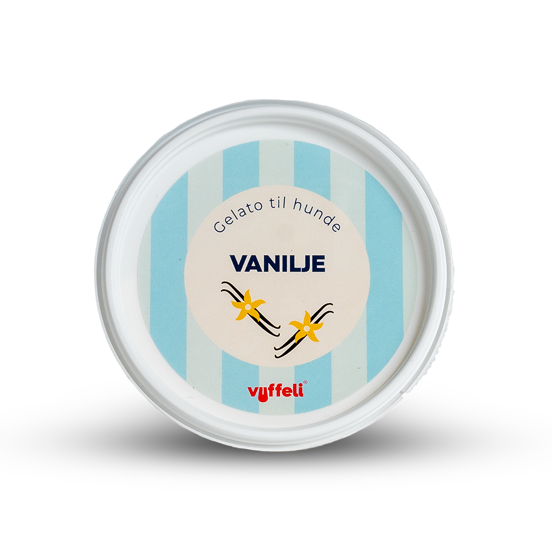 Gelato - Vanilje