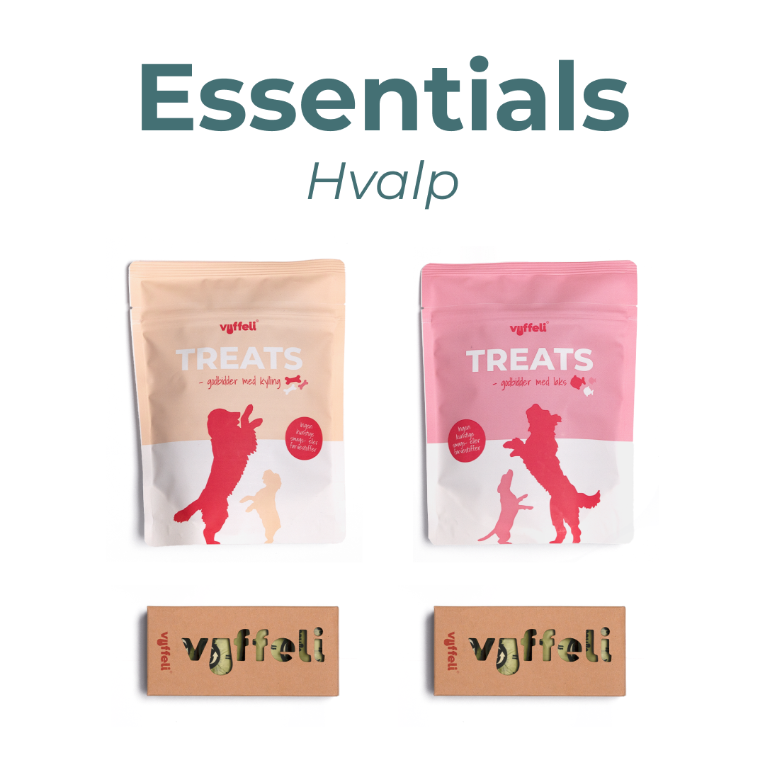Essentials - Hvalp